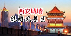 屌日大逼中国陕西-西安城墙旅游风景区